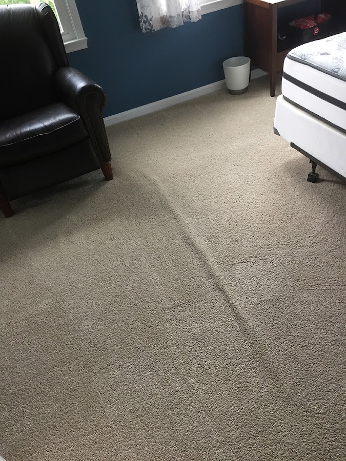 Tulip Carpet Cleaning New Rochelle