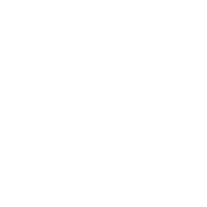 New Era Skin Aesthetics logo