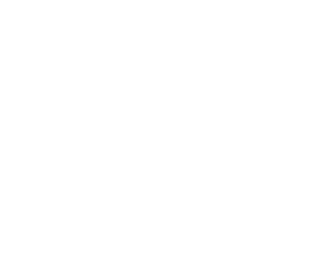 Vitalize - IV/IM Vitamin Therapies logo