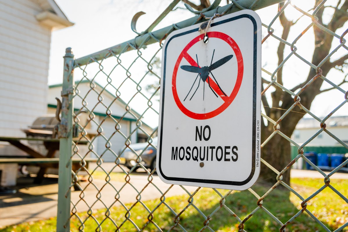 Sand Mountain Pest Management