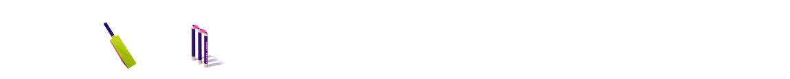 Shoals Computer logo