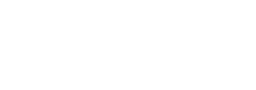 Eximo Marketing logo