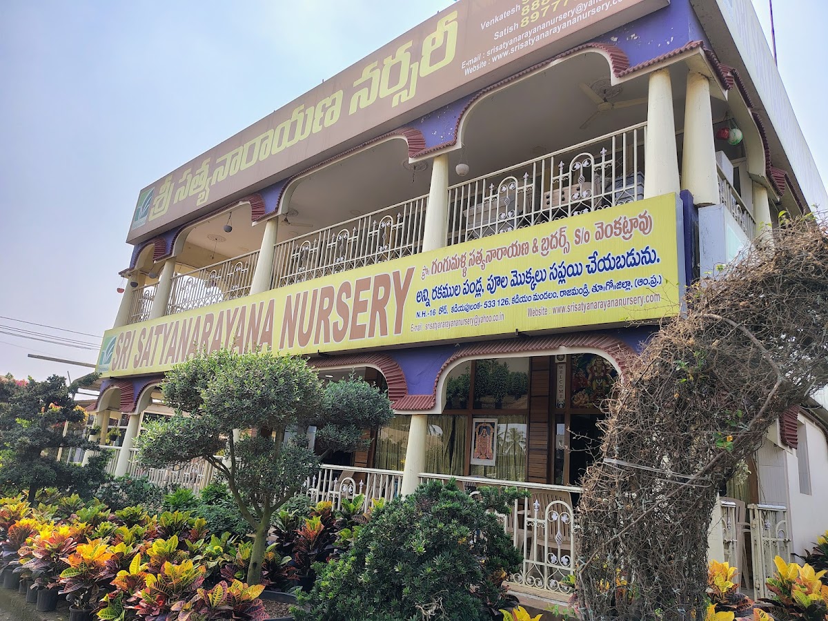 Sri Satyanarayana Nursery Gardens Palla Venkanna
