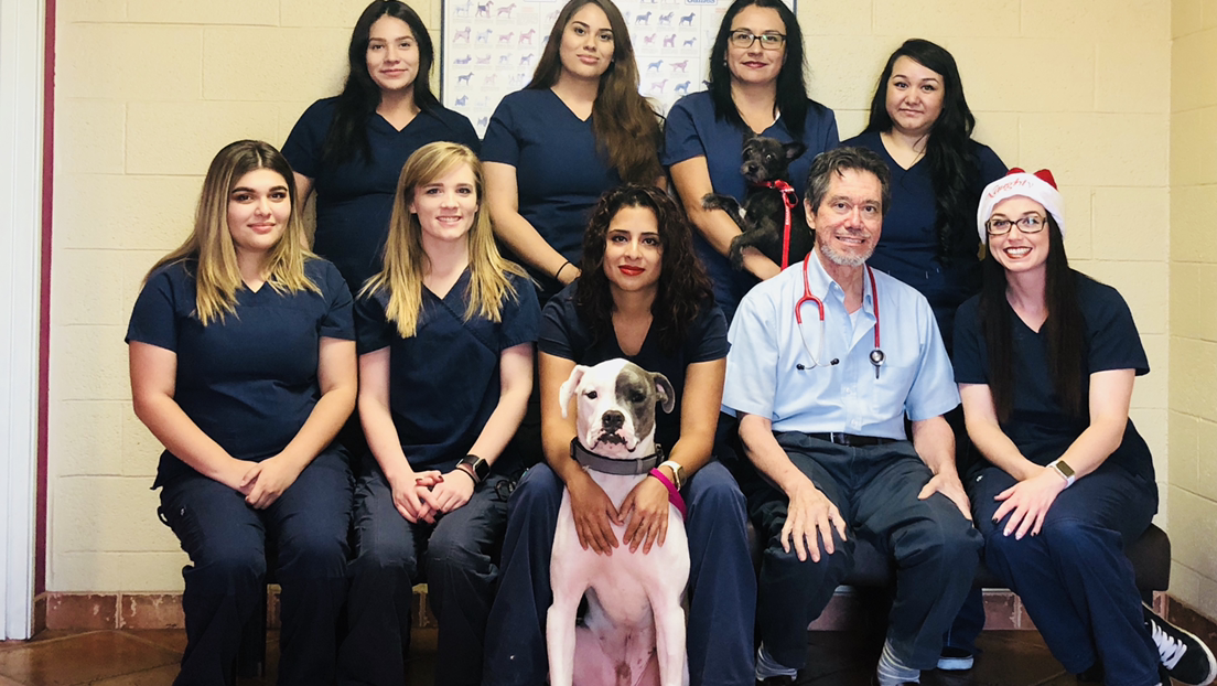 Sahara Animal Hospital