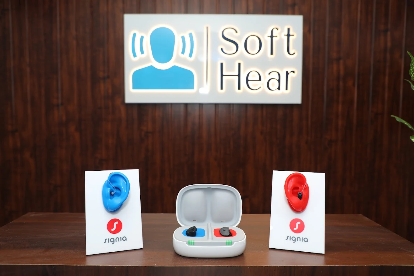 Soft Hear photo 2