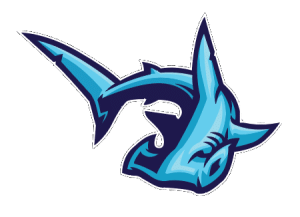 HammerHead Fencing logo