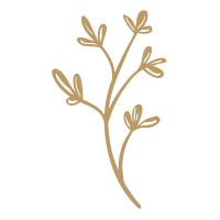 Touch Thai Massage Spa logo