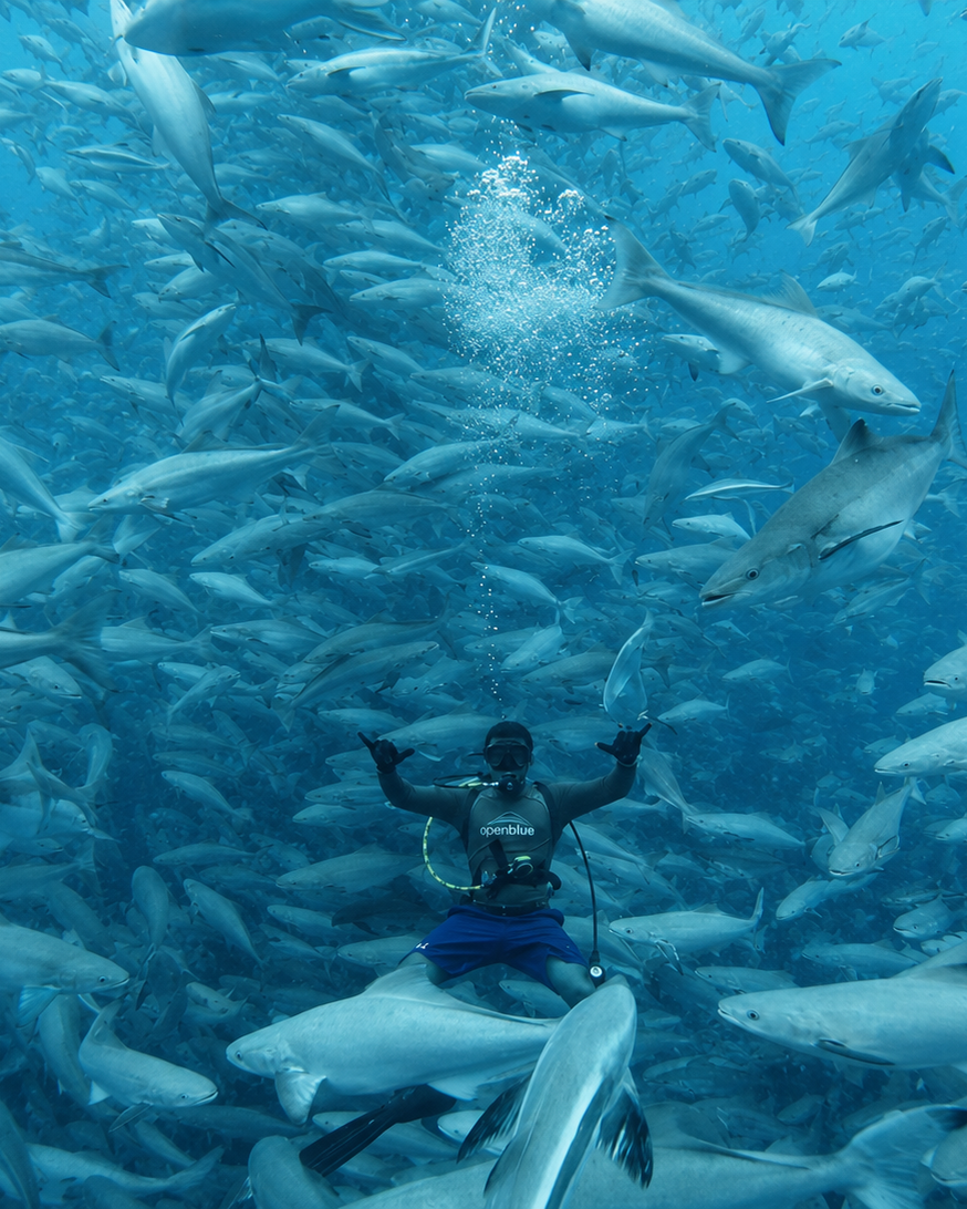 big fish public relations photo 2