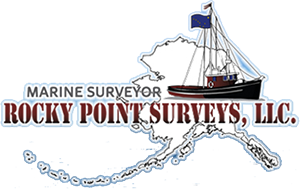 Rocky Point Surveys LLC logo