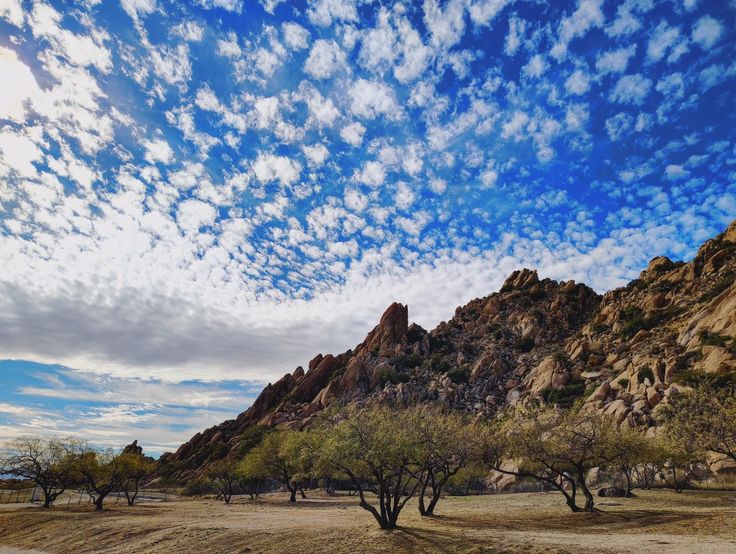 Cochise County Facilities Management