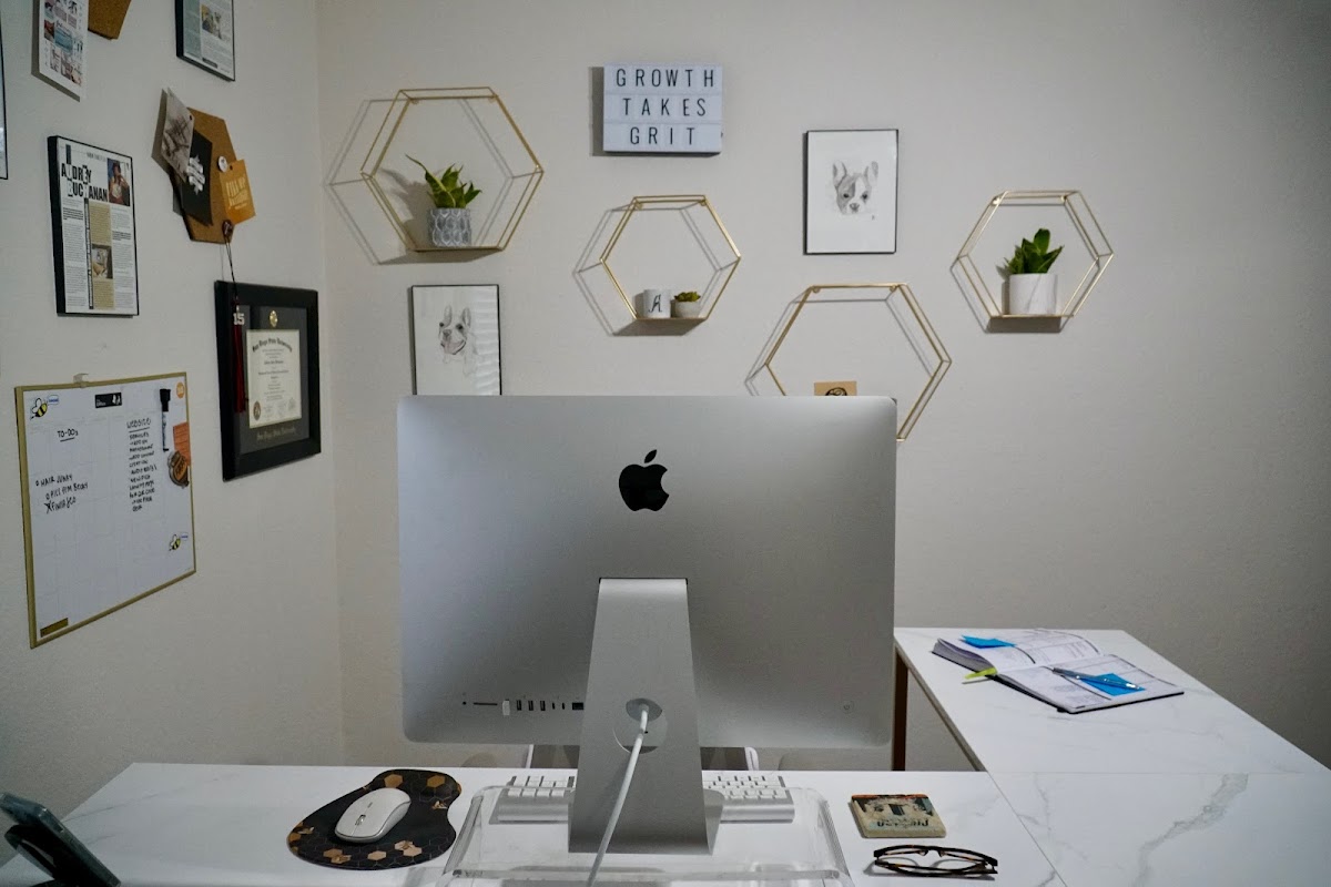 Let's Bee Social