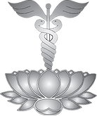 Healthcare Charities Inc logo