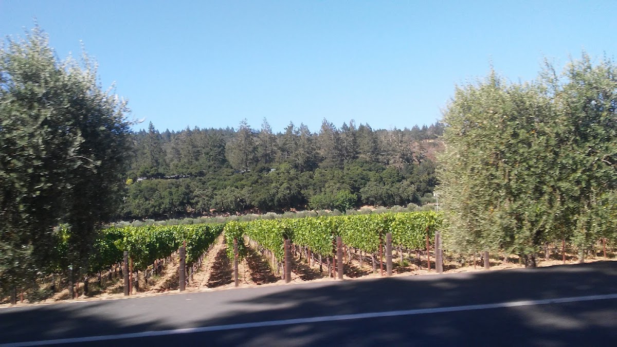 Vineyard Valley MHP