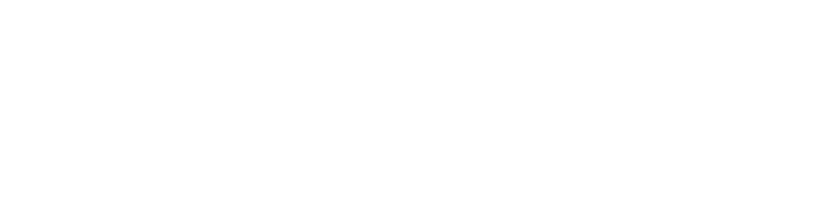 Automotive Ancillaries Limited Air Compressor Supplier logo