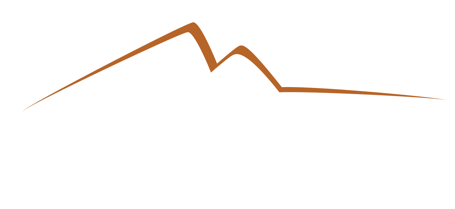 Alaska Concrete Solutions logo
