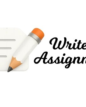 Write An Assignment photo 3