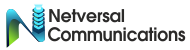 Netversal Communications logo