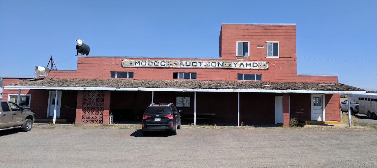 Auction Yard Café