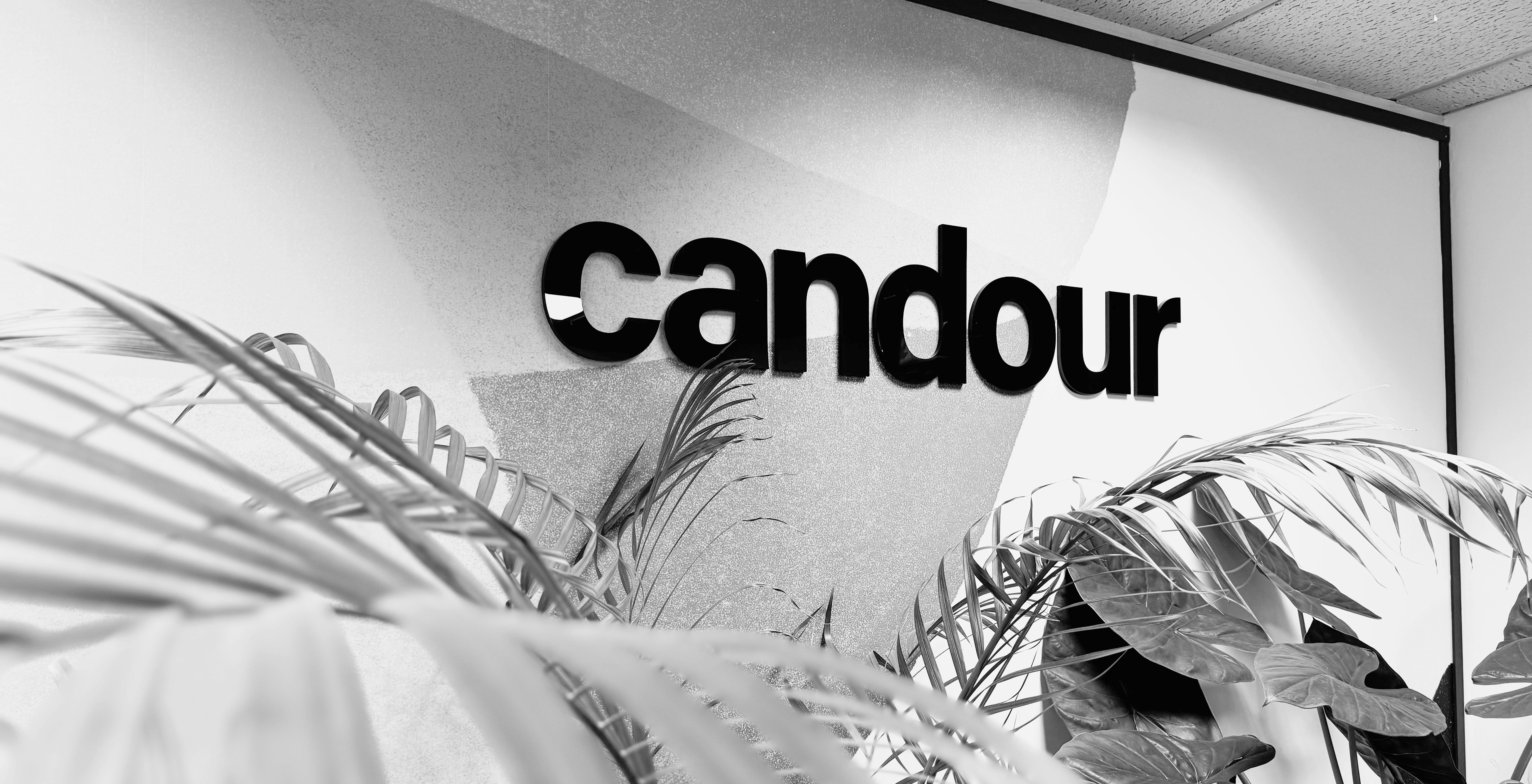 Candour Agency Ltd logo