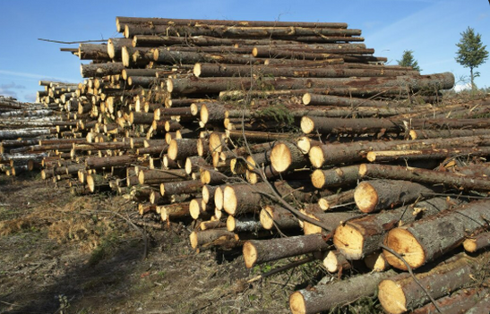Kennedy Logging Inc. logo