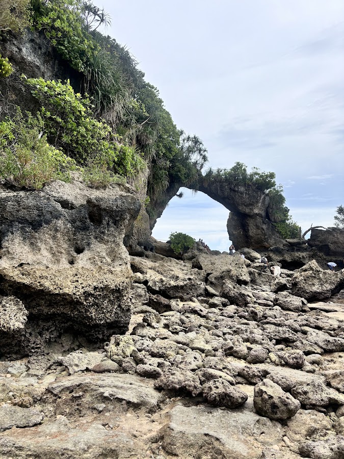 Andaman Diaries