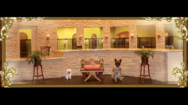 LV Dog Hotel
