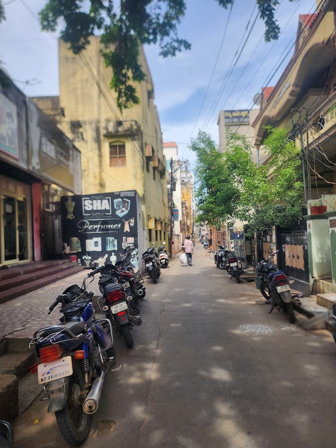 Nellore Address