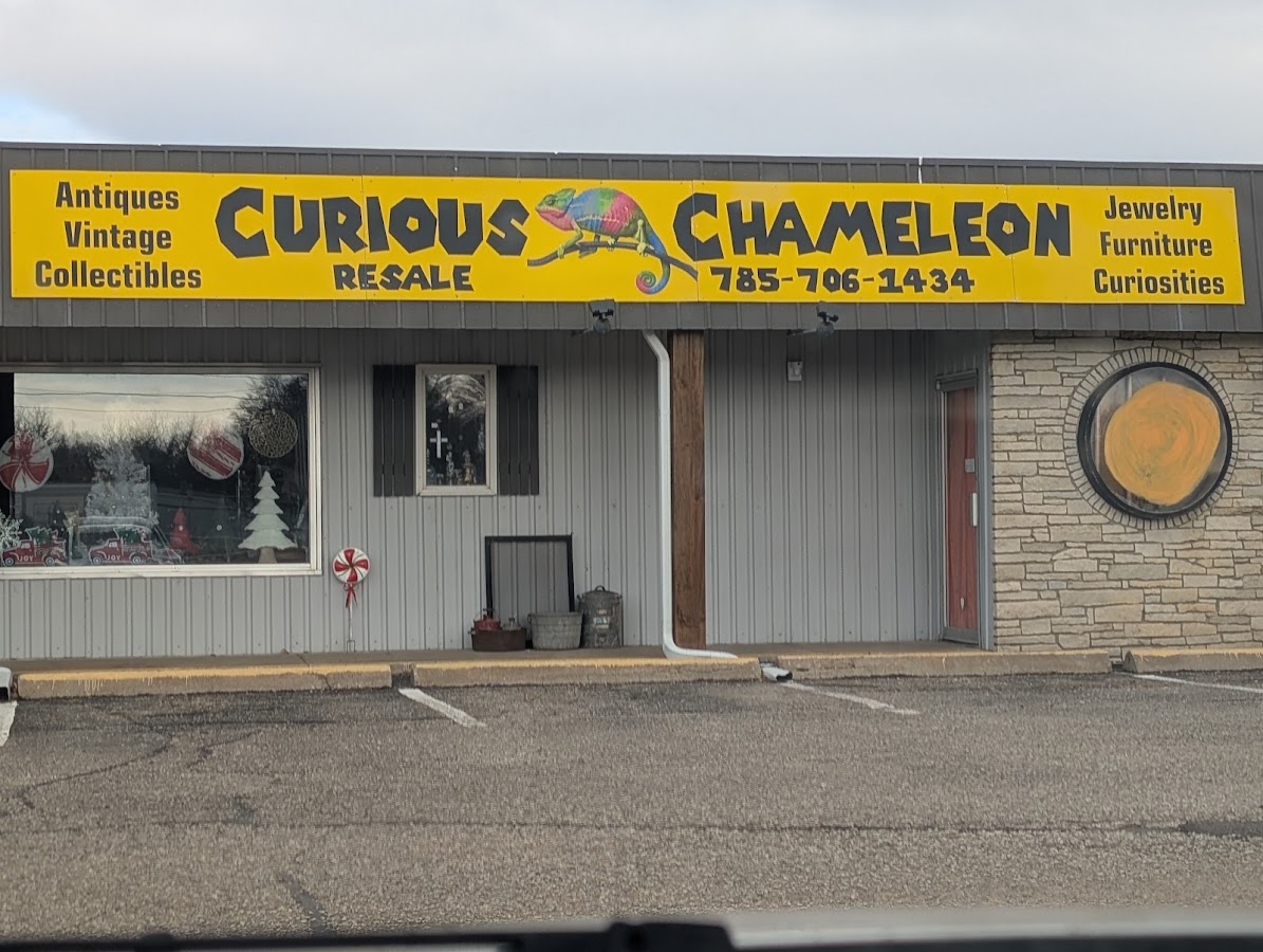 Curious Chameleon