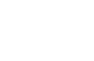 Bolt Public Relations logo