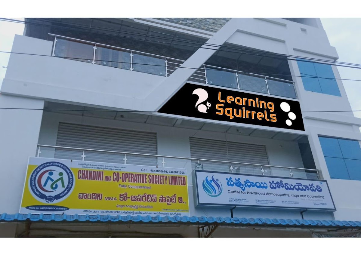 Learning Squirrels