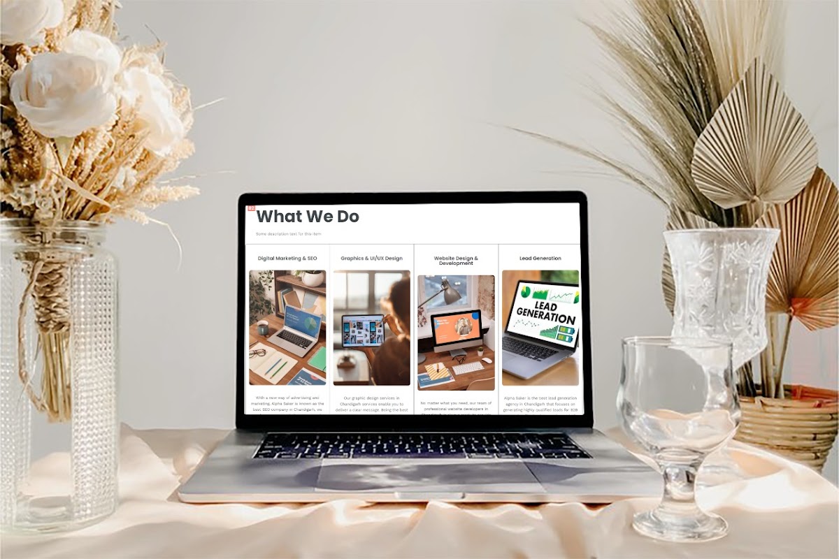Alpha Saker Technologies | Website Development Company in Chandigarh