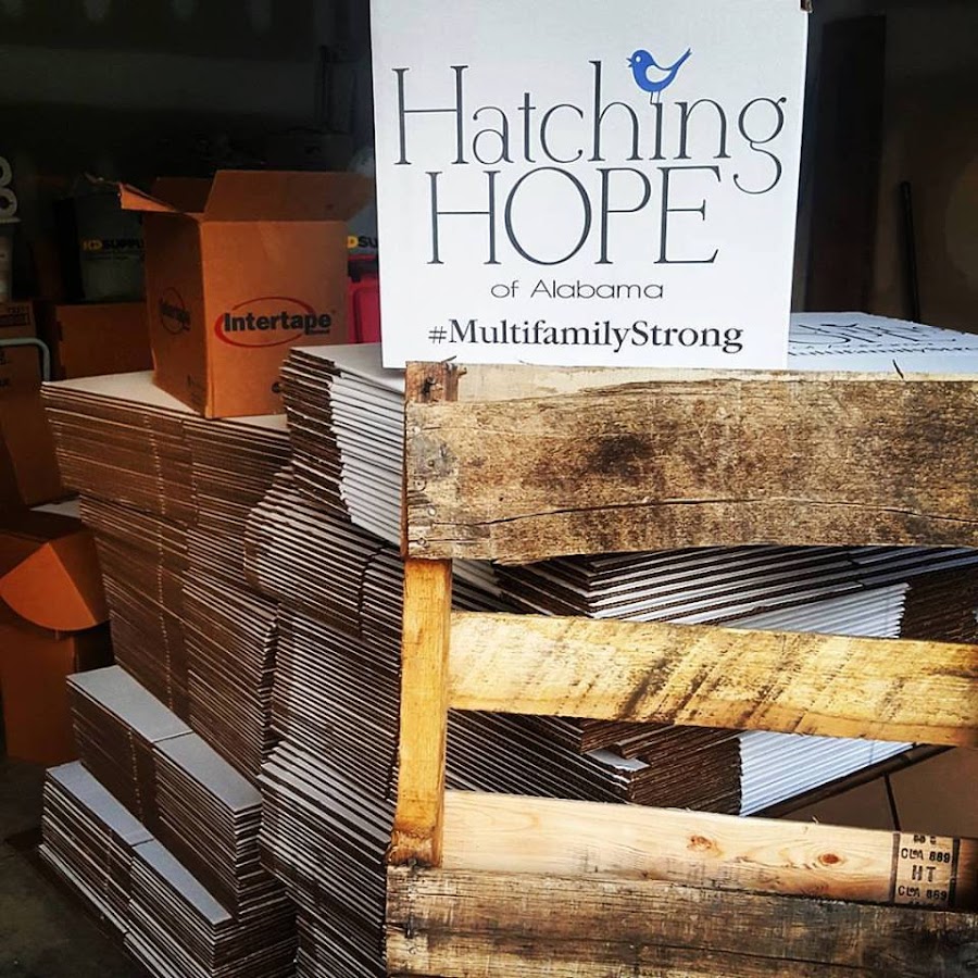 Hatching Hope