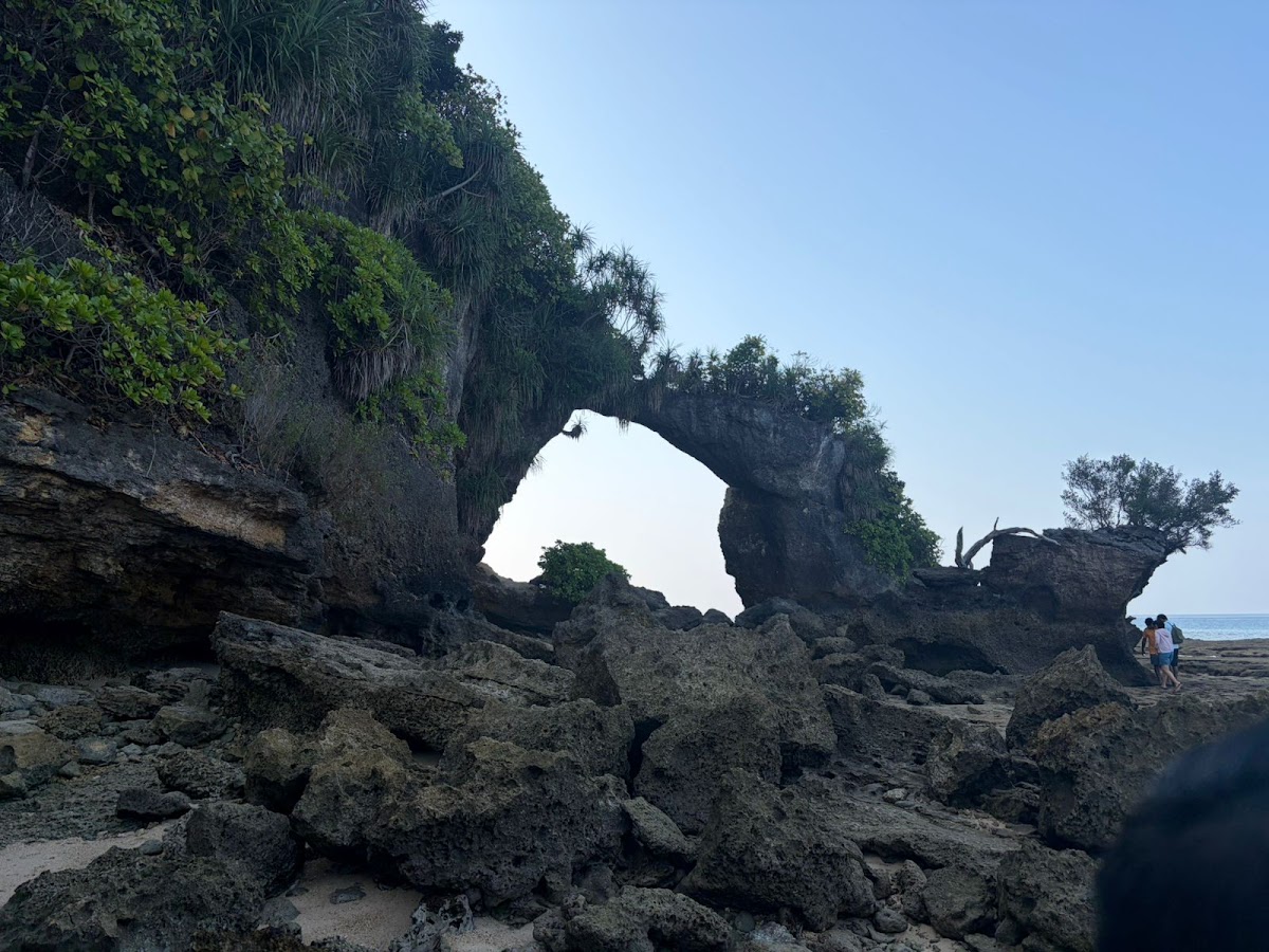 Travelicious Andaman Tours and Travels