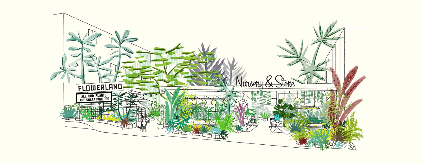 Flowerland Nursery logo