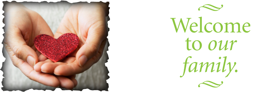 AA Love Care Home logo