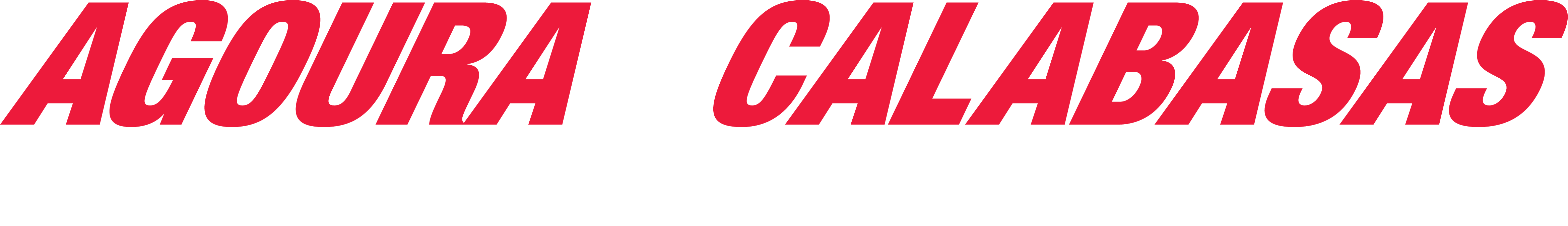 Agoura Car Care Tire Pros logo