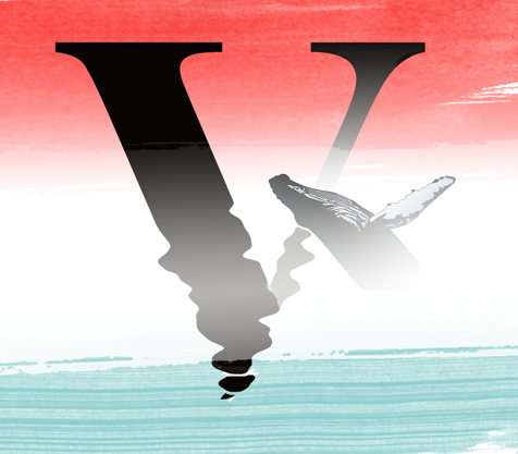 Viewtopia Vacation Rentals logo