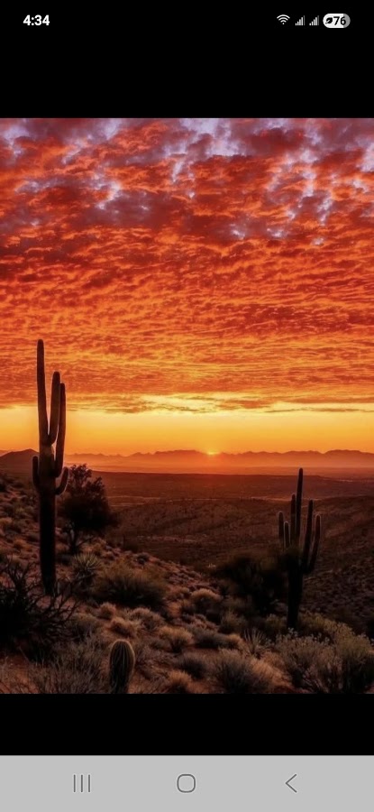 Desert sky home watch service LLC