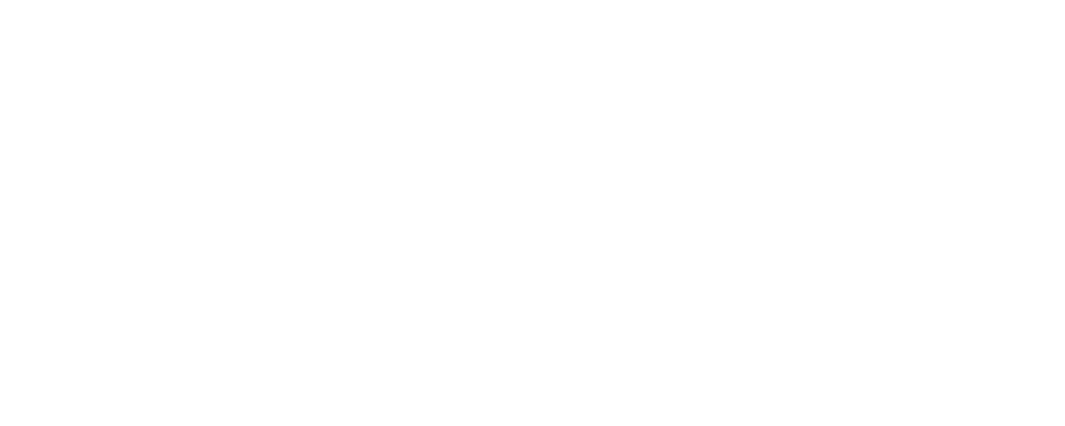 Vitality Chiropractic Chester logo