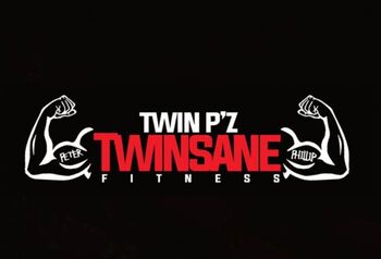 Twinsane Fitness logo