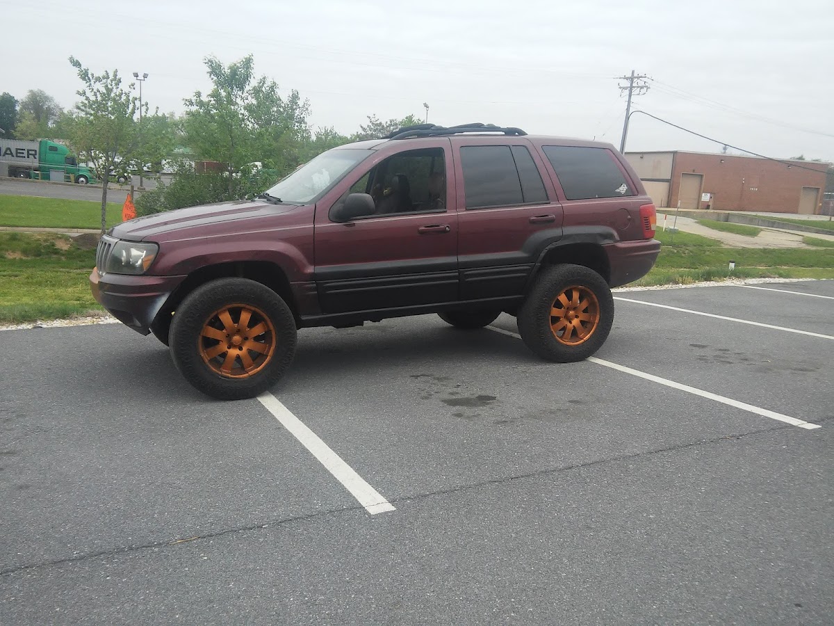 Hale Transportation LLC