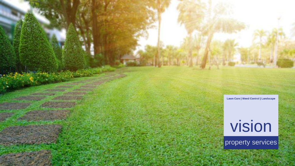 Vision Property Services