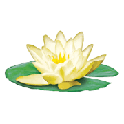 Summer House Memory Care at Fredericka Manor logo