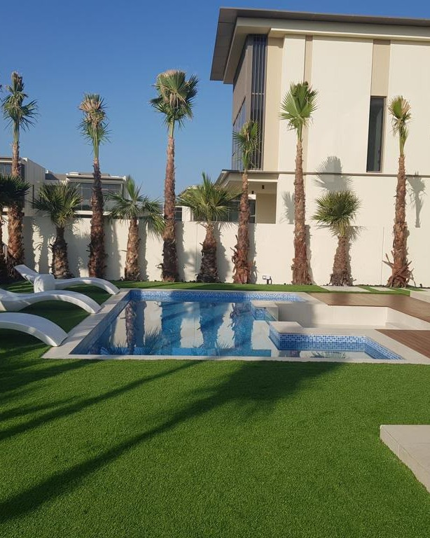 Wajid Ali Landscap and swimming pool photo 2
