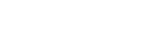Century Steps Inc logo