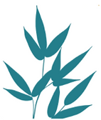 Serendipity Beauty logo