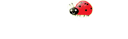 Rockett's Bug Juice Gardens logo