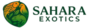 SAHARA EXOTICS - Largest Pet & Aquarium Store in Ajman logo