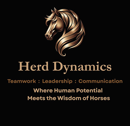 Herd Dynamics logo