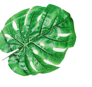 Lyons Lawn & Landscaping logo
